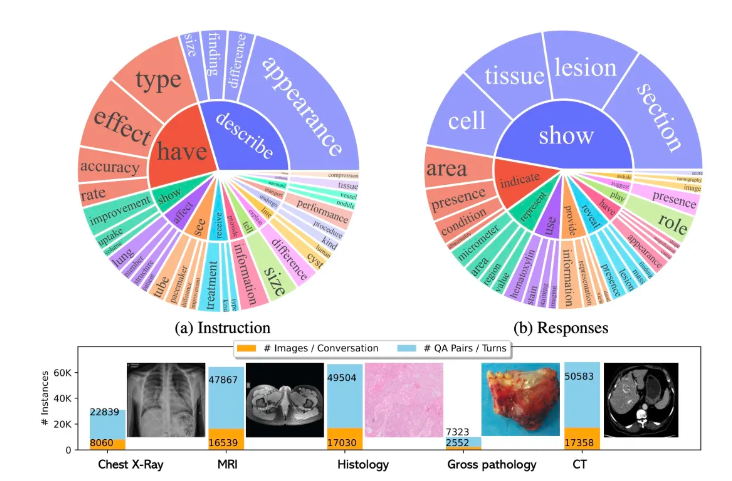 LLaVA-Rad —— 微软推出的小型多模态模型,专注于临床放射学报告生成