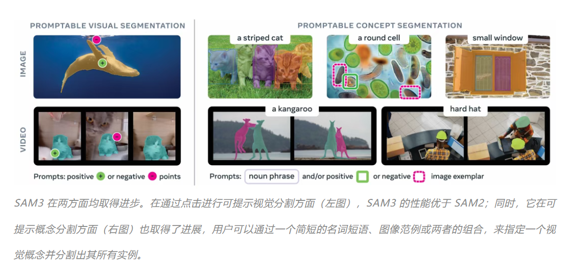 10月13日·SAM 3:让模型理解“概念”,开启分割新纪元